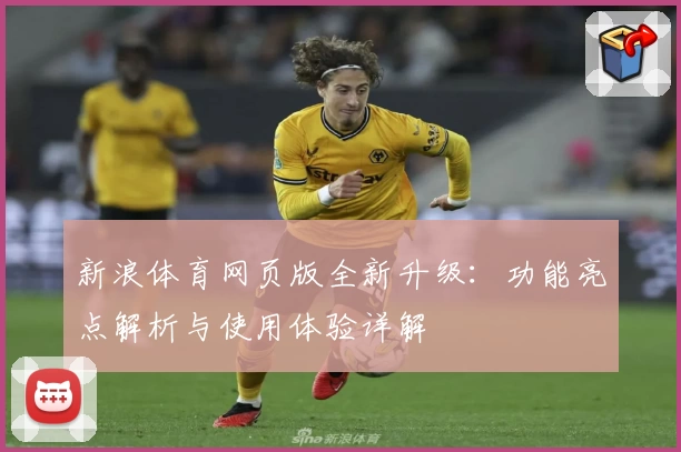 新浪体育网页版全新升级：功能亮点解析与使用体验详解