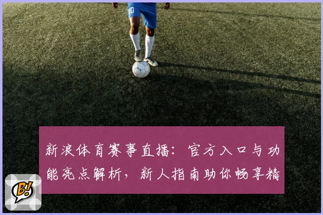 新浪体育赛事直播:官方入口与功能亮点解析,新人指南助你畅享精彩赛事实时观看