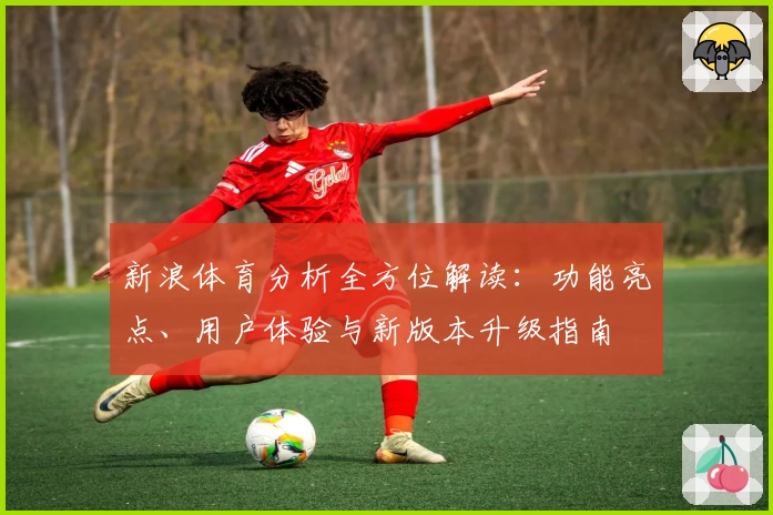 新浪体育分析全方位解读：功能亮点、用户体验与新版本升级指南