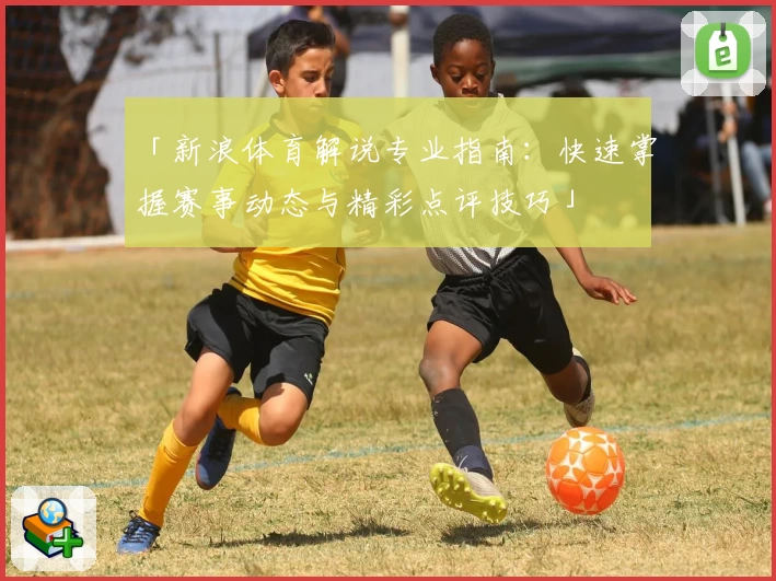 「新浪体育解说专业指南：快速掌握赛事动态与精彩点评技巧」