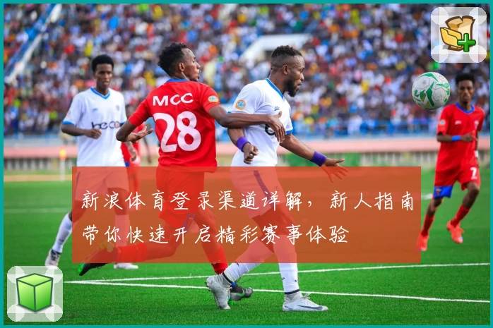 新浪体育登录渠道详解，新人指南带你快速开启精彩赛事体验