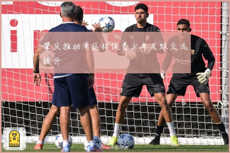 肇庆推动湾区杯促青少年足球交流提升
