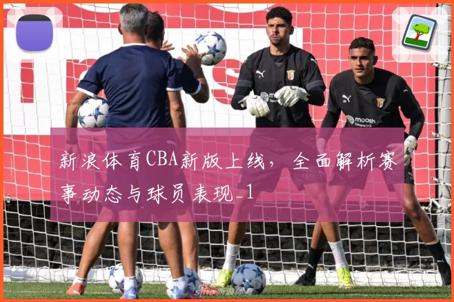 新浪体育CBA新版上线，全面解析赛事动态与球员表现_1