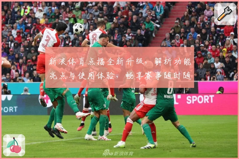 新浪体育点播全新升级，解析功能亮点与使用体验，畅享赛事随时随地在线回看