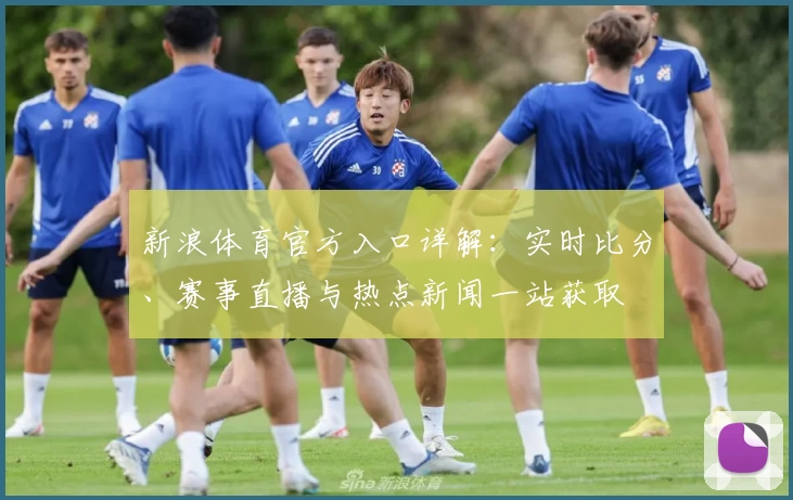 新浪体育官方入口详解：实时比分、赛事直播与热点新闻一站获取