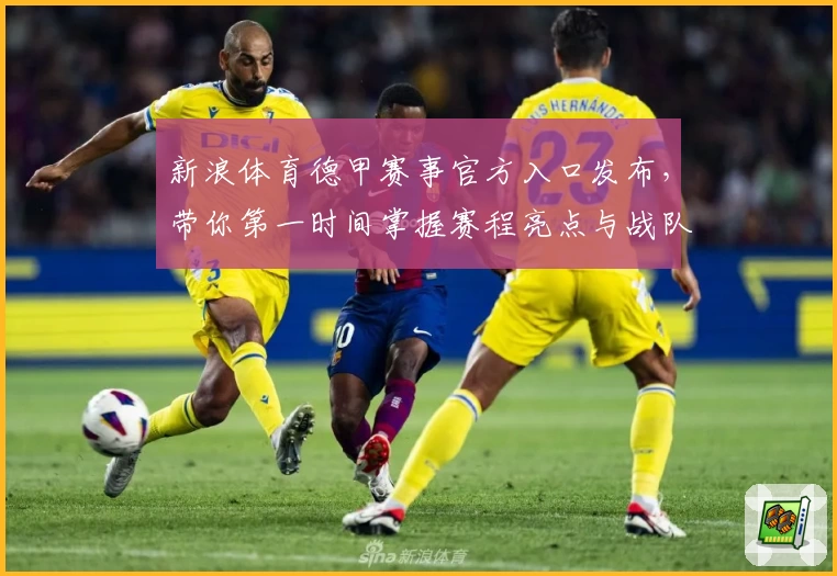 新浪体育德甲赛事官方入口发布，带你第一时间掌握赛程亮点与战队分析