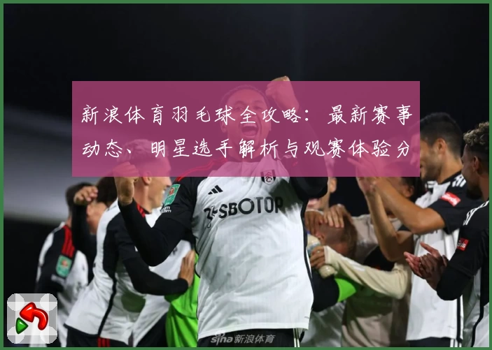 新浪体育羽毛球全攻略：最新赛事动态、明星选手解析与观赛体验分享