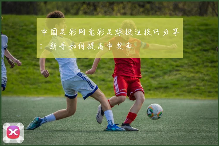 中国足彩网竞彩足球投注技巧分享：新手如何提高中奖率