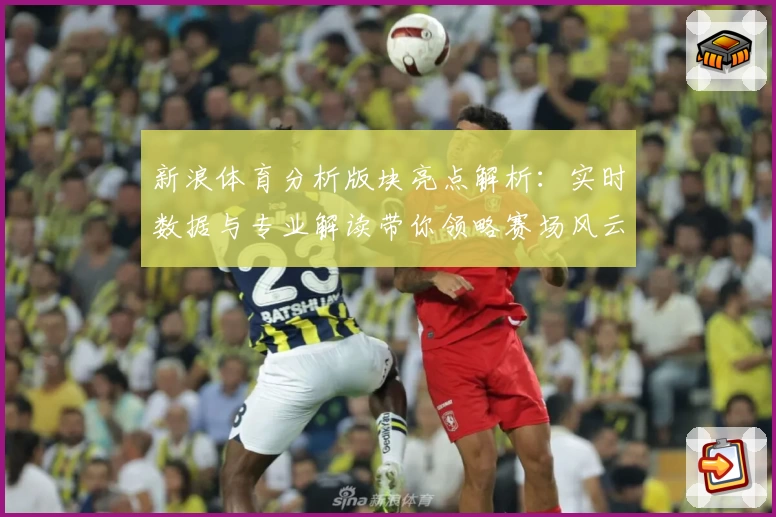 新浪体育分析版块亮点解析：实时数据与专业解读带你领略赛场风云