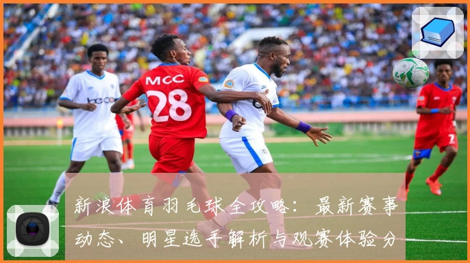 新浪体育羽毛球全攻略：最新赛事动态、明星选手解析与观赛体验分享