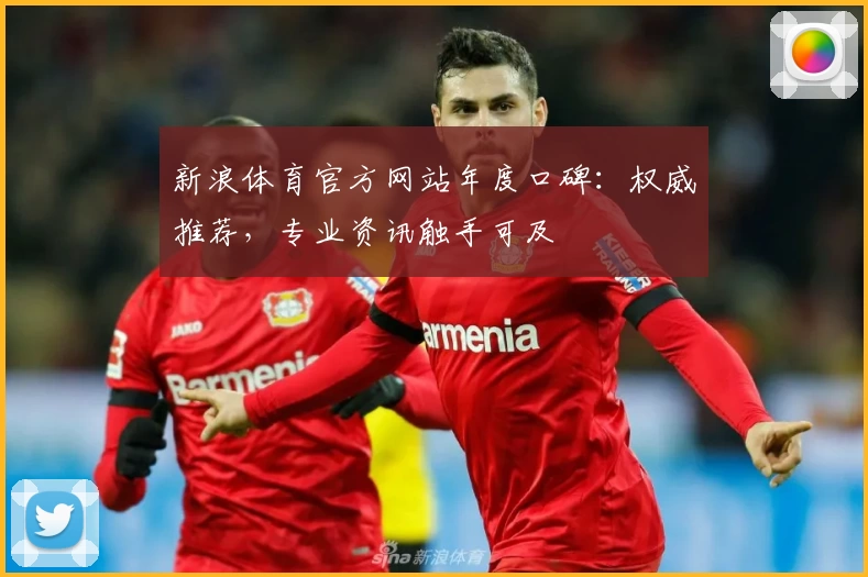 新浪体育官方网站年度口碑：权威推荐，专业资讯触手可及