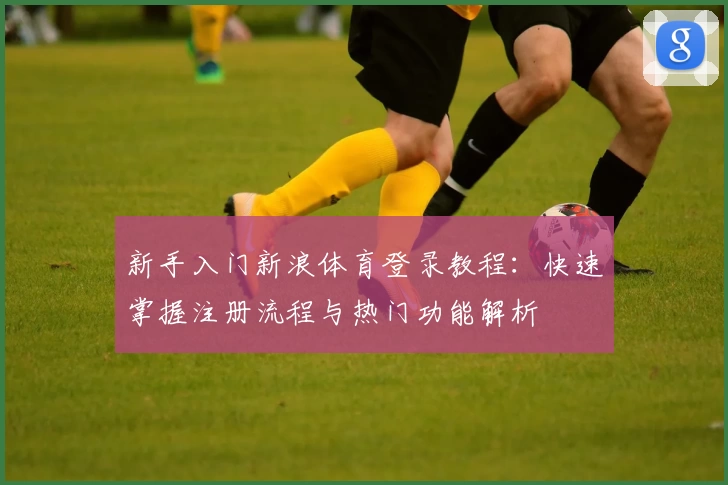新手入门新浪体育登录教程：快速掌握注册流程与热门功能解析