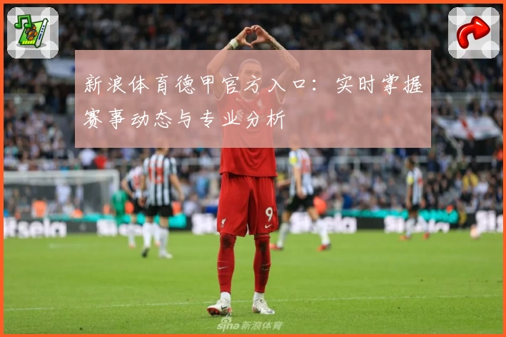 新浪体育德甲官方入口：实时掌握赛事动态与专业分析