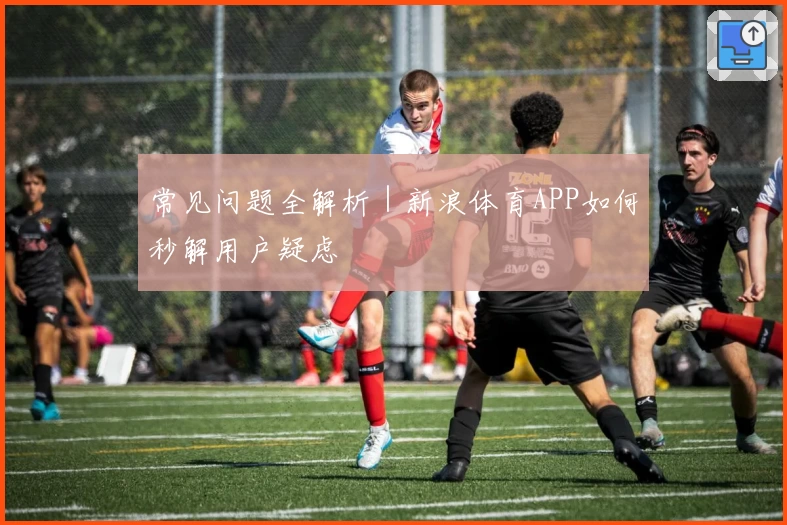 常见问题全解析｜新浪体育APP如何秒解用户疑虑