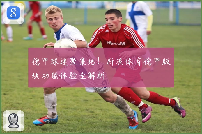 德甲球迷聚集地！新浪体育德甲版块功能体验全解析