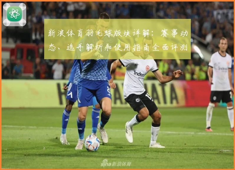 新浪体育羽毛球版块详解：赛事动态、选手解析和使用指南全面评测