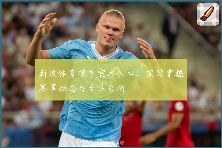 新浪体育德甲官方入口：实时掌握赛事动态与专业分析